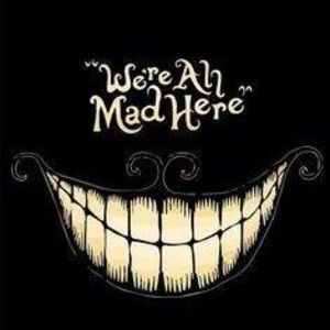 Meet your Posher, Celina